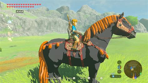 zelda botw pferde|Zelda: Breath of the Wild